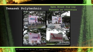 Slide7